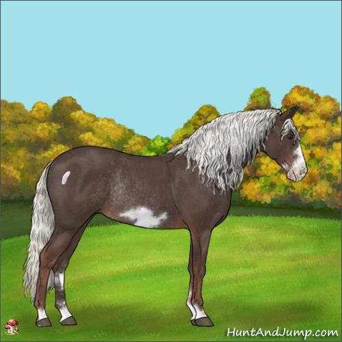 Horse Color:Liver Red Roan Mushroom Frame Rabicano 