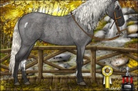 Horse Color:Liver Red Roan Mushroom 