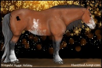 Horse Color:Bay Sabino