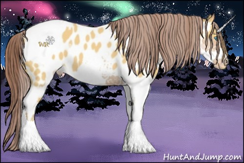 Horse Color:Amber Cream Champagne Near Leopard and White Spotted Amber Champagne Snowcap