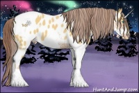 Horse Color:Amber Cream Champagne Near Leopard and White Spotted Amber Champagne Snowcap