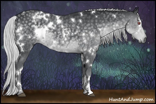 Horse Color:White Spotted Silver Black Chinchilla 