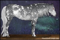 Horse Color:White Spotted Silver Black Chinchilla 