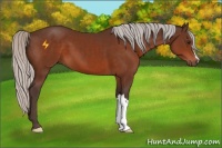 Horse Color:Silver Brown 
