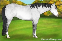 Horse Color:Bay Chinchilla Ice Roan Rabicano 