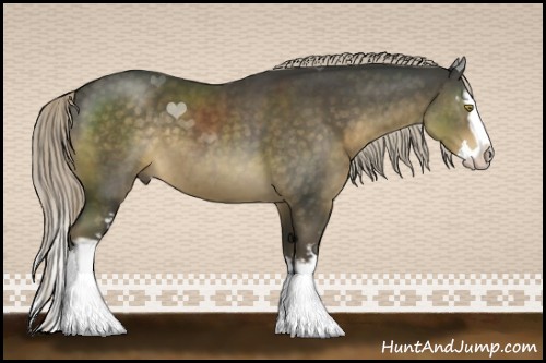 Horse Color:White Spotted Chocolate Palomino Sabino Splash 