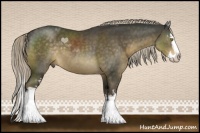 Horse Color:White Spotted Chocolate Palomino Sabino Splash 