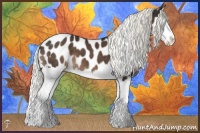 Horse Color:Liver Chestnut Mushroom Splash Appaloosa 