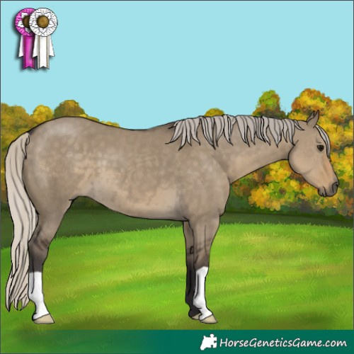 Horse Color:Silver Smoky Grullo 