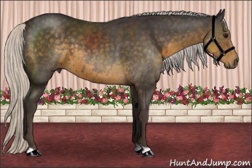 Horse Color:Silver Smoky Black 