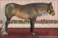 Horse Color:Silver Smoky Black 