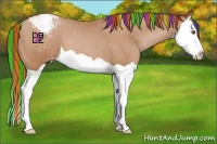 Horse Color:Painted Brown Pearl Splash Appaloosa