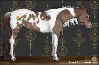Horse Color:Liver Chestnut Tobiano Blanket 