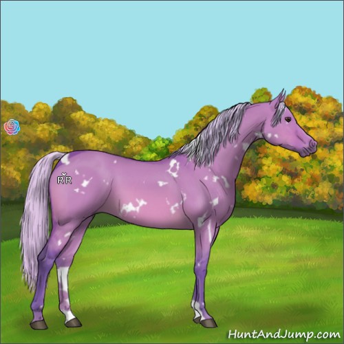 Horse Color:Watercolor White Spotted Silver Bay Dun 