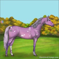 Horse Color:Watercolor White Spotted Silver Bay Dun 
