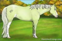Horse Color:Watercolor Silver Buckskin Pearl Sabino 