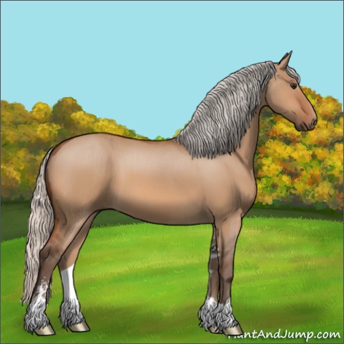 Horse Color:Silver Bay Dun Sabino