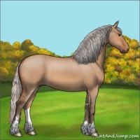 Horse Color:Silver Bay Dun Sabino
