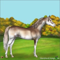 Horse Color:Liver Red Onyx Splash