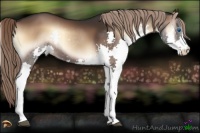 Horse Color:Liver Red Onyx Splash