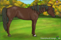 Horse Color:Gray Painted Chestnut 