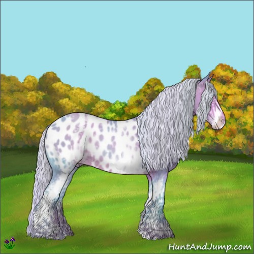 Horse Color:Watercolor White Spotted Silver Amber Champagne Blanket 