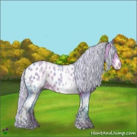 Horse Color:Watercolor White Spotted Silver Amber Champagne Appaloosa