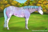 Horse Color:Watercolor White Spotted Bay Splash Rabicano 