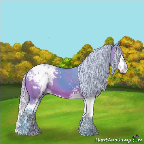 Horse Color:Watercolor White Spotted Silver Bay Splash Appaloosa 