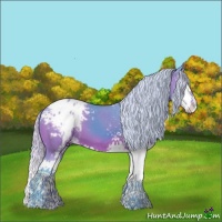 Horse Color:Watercolor White Spotted Silver Bay Splash Appaloosa