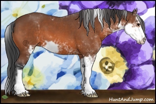 Horse Color:Bay Sabino