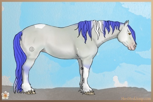 Horse Color:Watercolor Amber Champagne Onyx Tobiano