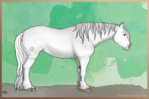 Horse Color:Silver Brown Chinchilla Roan Pearl Onyx Splash 