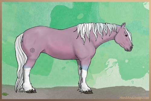 Horse Color:Watercolor Silver Bay Tobiano Rabicano