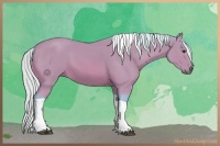 Horse Color:Watercolor Silver Bay Tobiano Rabicano 