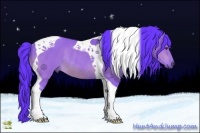 Horse Color:Watercolor Bay Tobiano Rabicano 