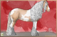 Horse Color:Silver Bay Roan Pearl Tobiano Frame Rabicano 