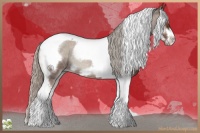 Horse Color:Silver Blue Onyx Roan Tobiano Frame 