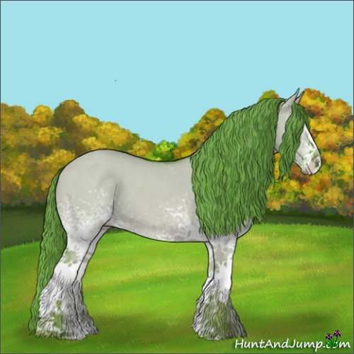 Horse Color:Watercolor White Spotted Red Dun Rabicano