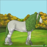 Horse Color:Watercolor White Spotted Red Dun Rabicano 