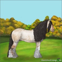 Horse Color:Bay Ice Dun Tobiano Rabicano 