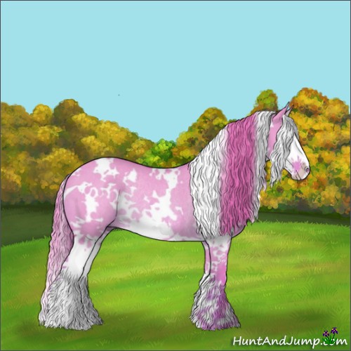 Horse Color:Watercolor White Spotted Red Dun Splash Rabicano