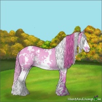 Horse Color:Watercolor White Spotted Red Dun Splash Rabicano 