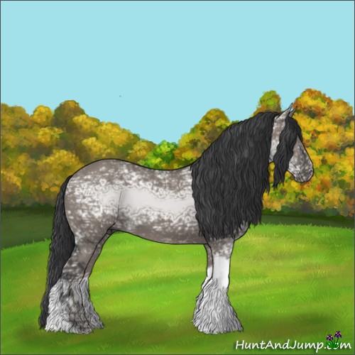 Horse Color:Grullo Ice Tobiano 
