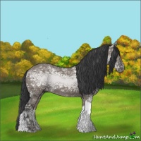 Horse Color:Grullo Ice Tobiano