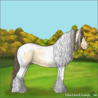 Horse Color:Amber Cream Champagne Dun Tobiano Rabicano