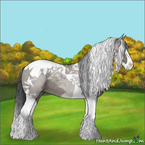 Horse Color:Grullo Splash Tobiano Rabicano 