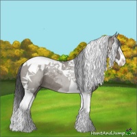 Horse Color:Grullo Splash Tobiano Rabicano