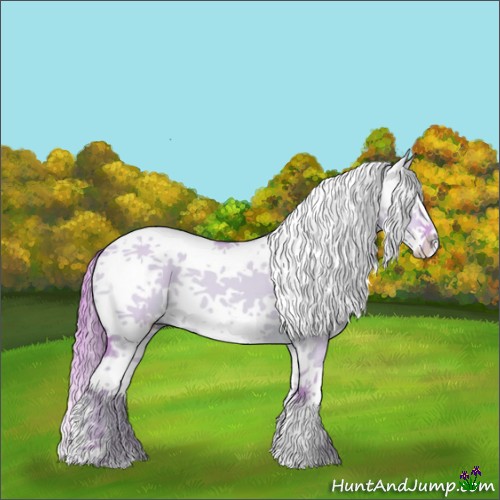 Horse Color:Watercolor White Spotted Red Dun 