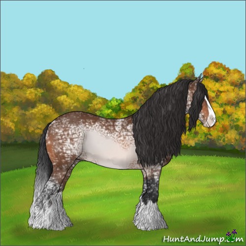 Horse Color:Bay Ice Splash 